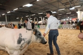 Photo 13 - Salon Agriday S - Samedi