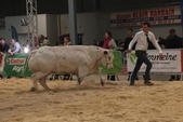 Photo 15 - Salon Agriday S - Samedi