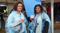 Photo 99 - Festival Les Gens d'Ere - Dimanche