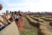 Photo 18 - Gymkhana - Blind Test