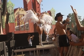 Photo 559 - So Whappy festival - samedi